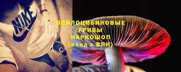 МДПВ Саяногорск